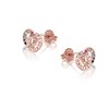 Radley RYJ1146 18ct Gold Plated Silver Stud Earrings - J8189 Alternative Image