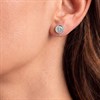 Radley RYJ1001S Silver Tone CZ Solitaire Earrings - J81915 Alternative Image