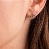 Radley RYJ1146S Rose Tone Multi Coloured Stud Earrings - J81917 Alternative Image