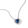 Radley RYJ2477S Silver Tone Blue CZ Necklace - J81926 Alternative Image