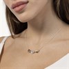 Radley RYJ2514S Rose Gold And Silver Tone Heart Necklace - J81946 Alternative Image