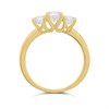 9ct Gold Graduated Lab Grown Diamond Trilogy Ring, 1.09cts - L40029 Alternative Image