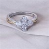 Night & Day Silver And 9ct Gold Cubic Zirconia Multi Oval Cluster Ring - M1717 Alternative Image