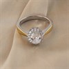 Night & Day Silver And 9ct Gold Cubic Zirconia Oval Cluster Ring - M1720 Alternative Image