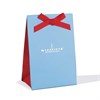 Newbridge Silverware Silver Plated Shooting Star Christmas Decoration - P59146 Alternative Image
