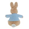 Beatrix Potter A30790 Peter Rabbit Soft Toy - P87132 Alternative Image