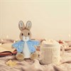 Beatrix Potter A30790 Peter Rabbit Soft Toy - P87132 Alternative Image