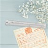 Beatrix Potter A32332 Peter Rabbit Birth Certificate Holder - P87142 Alternative Image