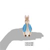 Beatrix Potter A29292 Peter Rabbit Money Box - P8758 Alternative Image
