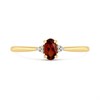 9ct Gold Garnet And Diamond Birthstone Ring - January - R0201 Alternative Image