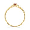 9ct Gold Garnet And Diamond Birthstone Ring - January - R0201 Alternative Image