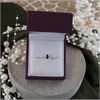 9ct Gold Garnet And Diamond Birthstone Ring - January - R0201 Alternative Image