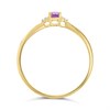 9ct Gold Amethyst And Diamond Birthstone Ring - February - R0202 Alternative Image
