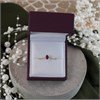 9ct Gold Ruby And Diamond Birthstone Ring - July - R0207 Alternative Image