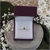 9ct Gold Citrine And Diamond Birthstone Ring - November - R0211 Alternative Image
