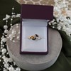 9ct Gold Garnet, Smoky Quartz, Citrine And Diamond Ring - EXCLUSIVE - R0901 Alternative Image