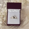 9ct Gold Two Colour Black Sapphire And Diamond Ring - EXCLUSIVE - R0910 Alternative Image
