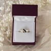 9ct Gold Two Colour Black Sapphire And Diamond Ring - EXCLUSIVE - R0910 Alternative Image