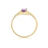 9ct Gold Amethyst Ring - EXCLUSIVE - R0923 Alternative Image
