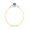 9ct Two Colour Gold Black Sapphire And Diamond Ring - R0985 Alternative Image