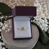 9ct Gold Celtic Twist Ring - R1967 Alternative Image
