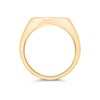 9ct Gold Diamond Oval Pinky Ring - R2201 Alternative Image