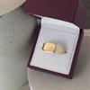 9ct Gold Classic Signet Ring - R3362 Alternative Image