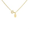 Aureus 9ct Bonded Gold On Sterling Silver Oval Locket And Chain - R6022 Alternative Image