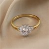 9ct Gold Two Colour White CZ Cluster Ring - R6590 Alternative Image