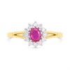 9ct Gold Two Colour Red And White CZ Cluster Ring - R6592 Alternative Image