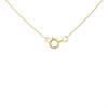 9ct Gold Cubic Zirconia Circle Drop Necklace - R69113 Alternative Image