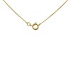 9ct Gold Floral Cubic Zirconia Necklace - R69114 Alternative Image