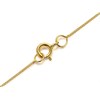 9ct Three Colour Gold Cubic Zirconia Circle Necklace - R7080 Alternative Image