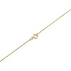 9ct Gold Mother Of Pearl Heart Locket And Chain - R7254 Alternative Image