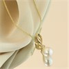 9ct Diamond And Freshwater Pearl Necklace - R7779 Alternative Image