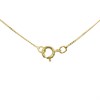 9ct Gold Crystal Heart Necklace - R82104 Alternative Image