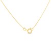 9ct Gold Swirl Citrine Necklace - R82130 Alternative Image