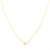 9ct Gold Amethyst Teardrop Necklace - R8220 Alternative Image