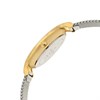 Skagen SKW2340 Anita Lille Two Tone Mesh Bracelet Watch - W0634 Alternative Image