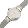 Skagen SKW2307 Anita Lille Mesh Bracelet Watch - W0679 Alternative Image