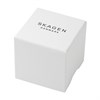 Skagen SKW6180 Holst Grey IP Mesh Bracelet Watch - W0694 Alternative Image