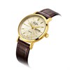 Rotary GS05423/03 Windsor Brown Strap Watch - W13160 Alternative Image