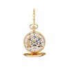 Jean Pierre G254PM Gold Plated Double Hunter Pocket Watch And Chain - W2204 Alternative Image