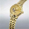 Seiko Presage SSA468J1 Japanese Zen Garden Automatic Watch - W25509 Alternative Image
