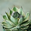 Seiko 5 Sports HDB001K1 Field GMT Automatic Watch - W25558 Alternative Image