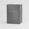 Spirit SPGD-3007 Diamond Set Bracelet Watch - W27137 Alternative Image