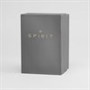 Spirit SP4036 Gold Tone Mesh Bracelet Watch - W27178 Alternative Image