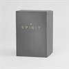 Spirit SP4037 Stone Set Mesh Bracelet Watch - W27179 Alternative Image