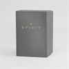 Spirit SP2015 Black Leather Strap Watch - W27223 Alternative Image