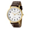 Spirit SP1020 Gold Tone Brown Leather Strap Watch - W27225 Alternative Image